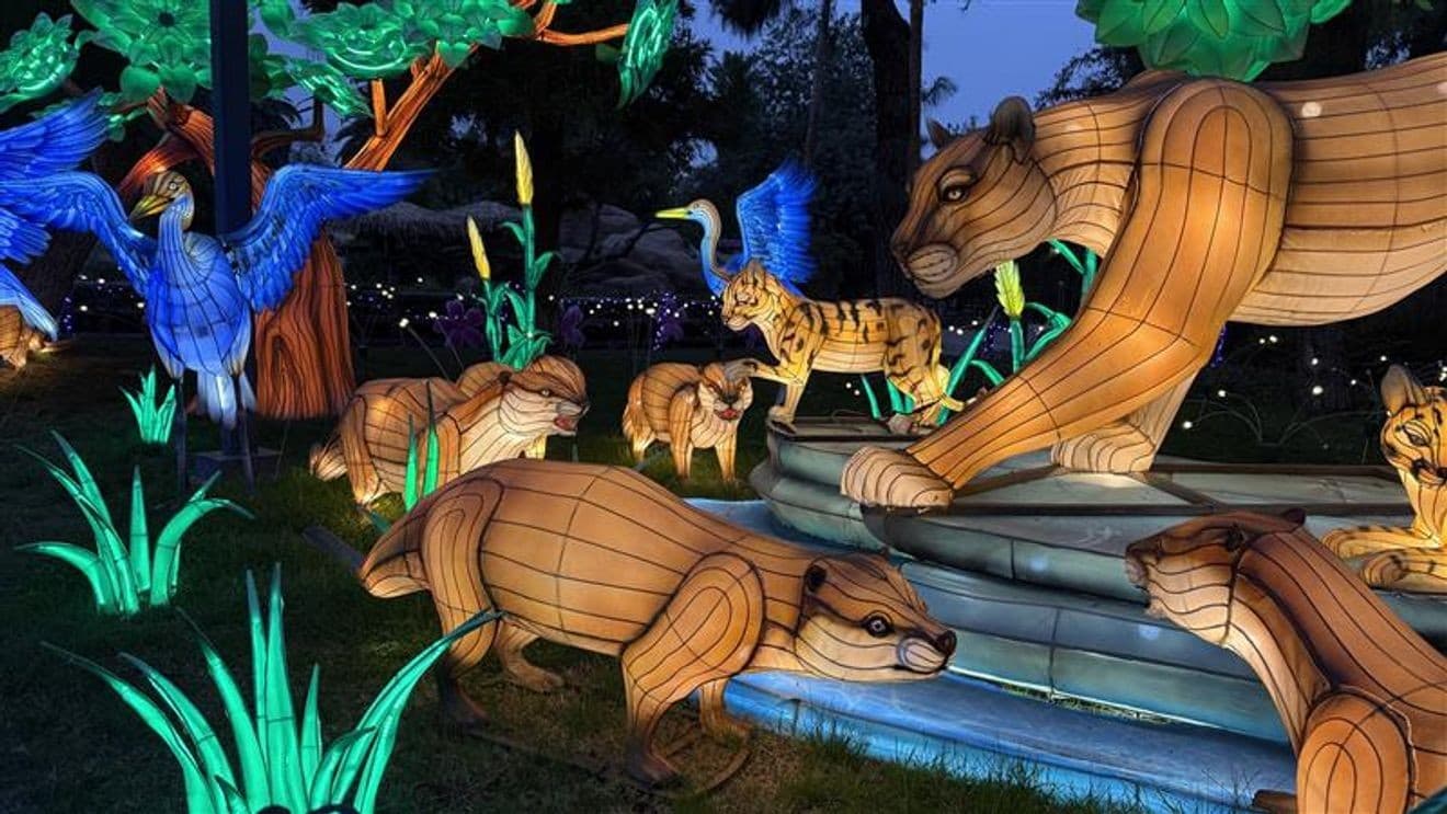 Fresno Chaffee Zoo’s IllumiNature: A Holiday Spectacle Illuminating Central Valley Nights