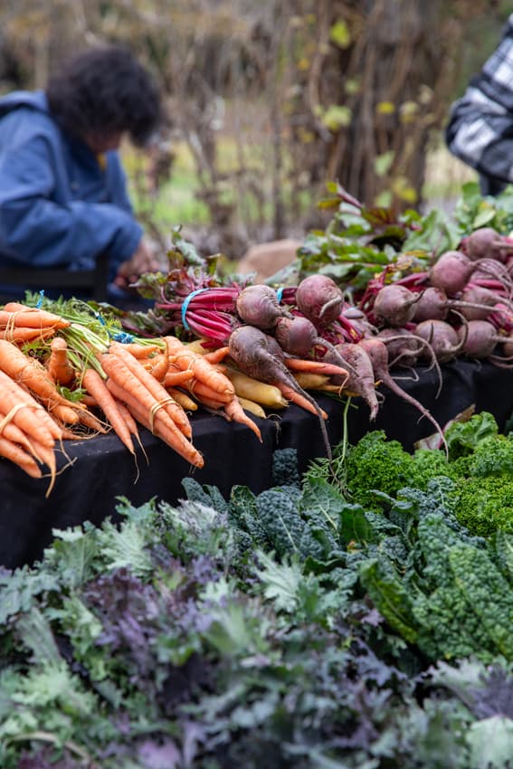 Vineyard Farmers Market (Saturday)