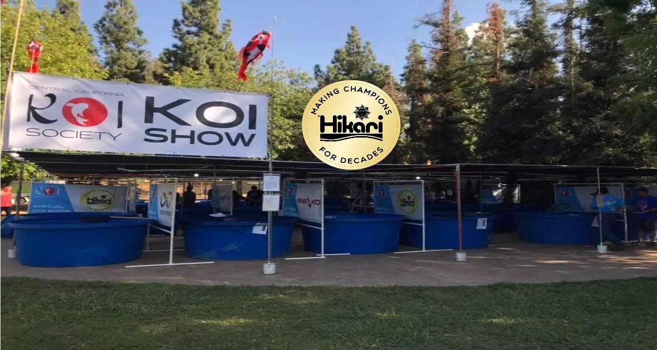 46th Annual Fresno Koi Show